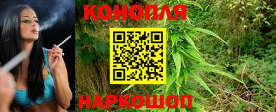 гидра Малоярославец